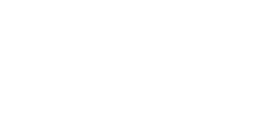 AMERICANFLEX